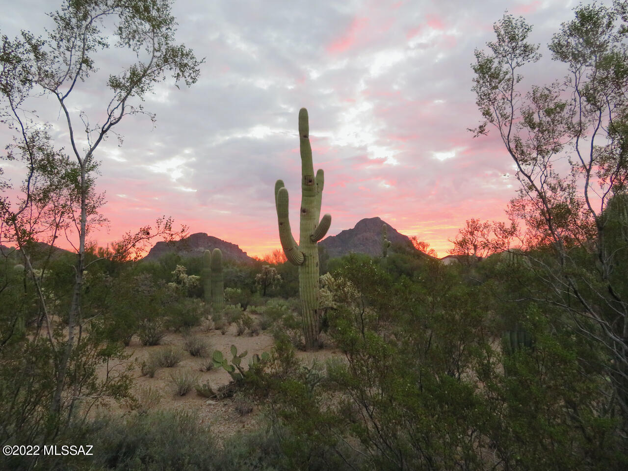 3293 South Desert Echo Road Tucson, AZ 85735 - Photo 46 of 49 Gallery Image 46
