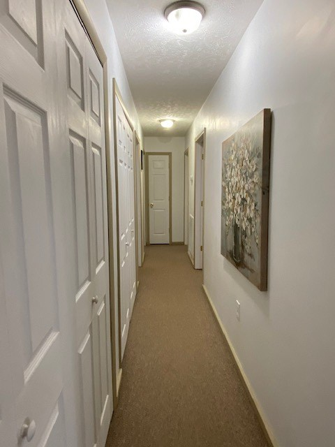 326 Sheffey School Road Max Meadows, VA 24360 - Photo 15 of 39 Gallery Image 15