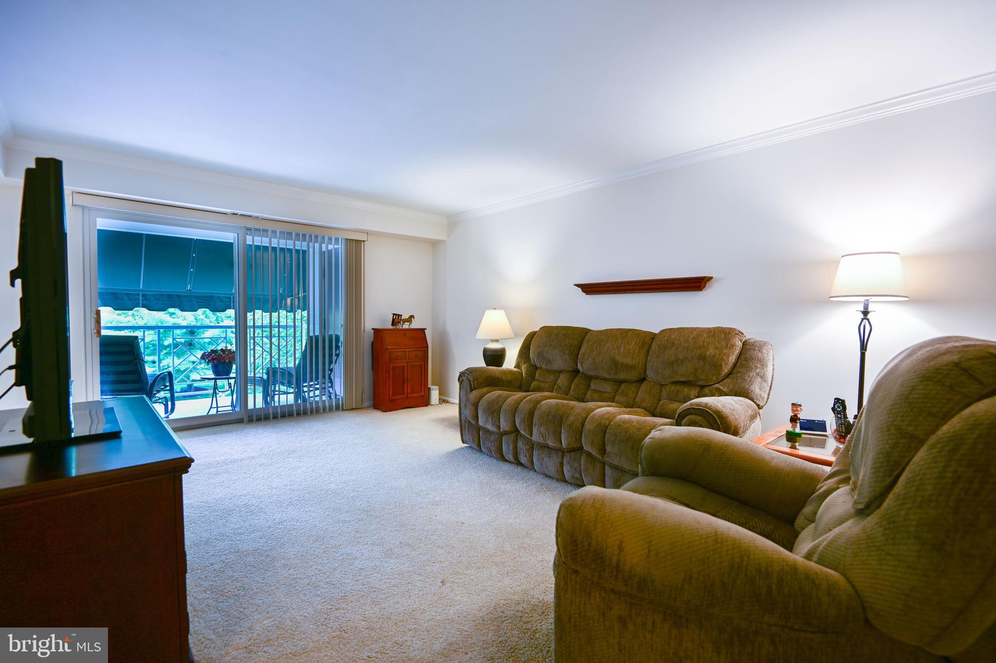 117 Castletown Road, Unit 301 Lutherville-Timonium, MD 21093 - Photo 5 of 23 living room