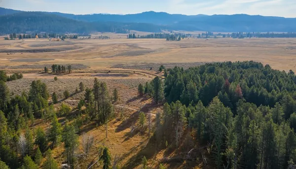 $245,000 | Lot 3 River Run Court, Unit 3, McCall, ID 83638