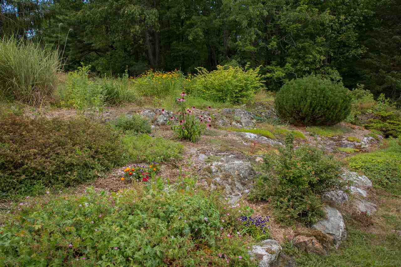 87 Skunk Hollow Road Jericho, VT 05465 - Photo 10 of 29
