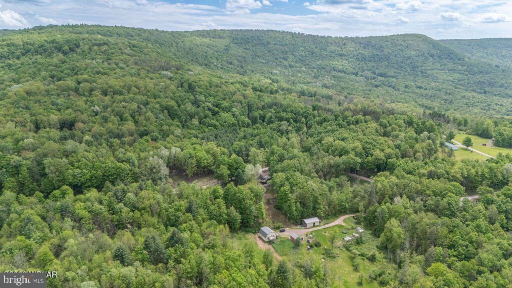 2025 Whiskey Run Road Muncy Valley, PA 17758 - Photo 54 of 54 Serene retreat amidst lush greenery.