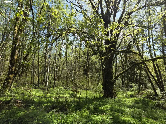 $142,000 | Mill Falls Lane, Longview, WA 98632