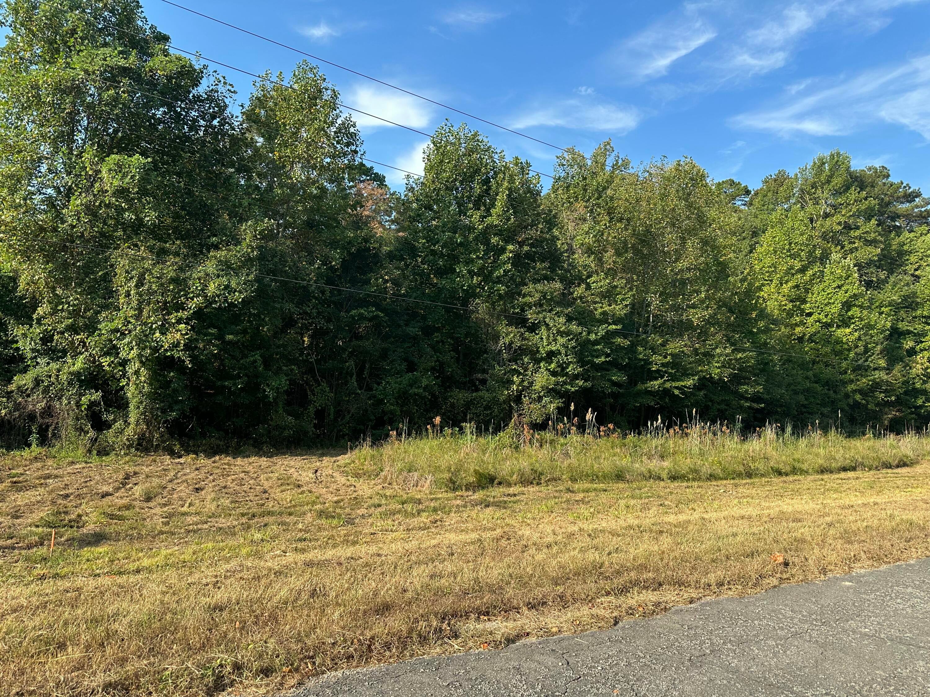 915 Margerum Tract 3 Road Cherokee, AL 35616 - Photo 1 of 7 Gallery Image 1