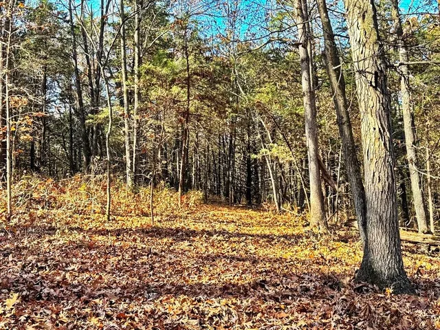 $149,000 | 0 Southeast 871 Road, Collins, MO 64738