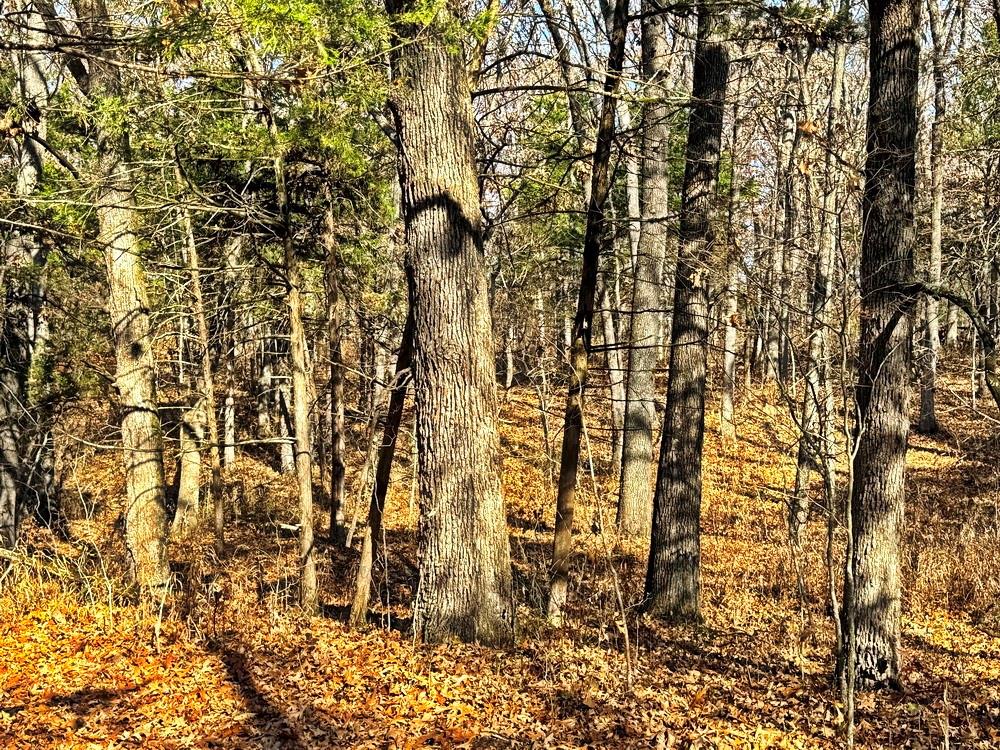 0 Southeast 871 Road Collins, MO 64738 - Photo 12 of 35