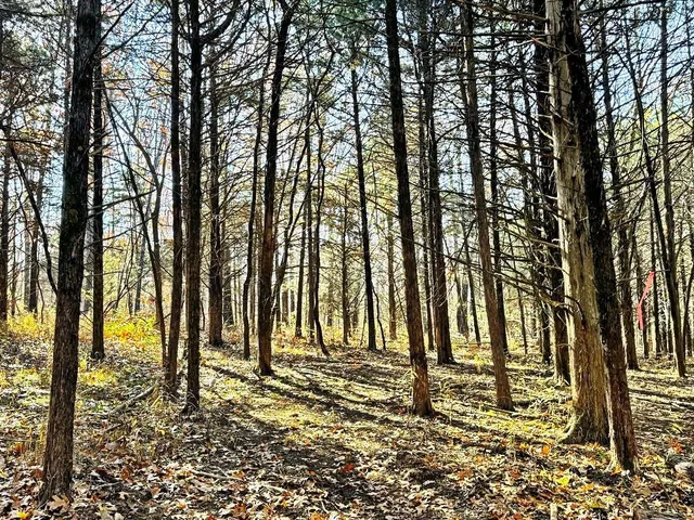 $149,000 | 0 Southeast 871 Road, Collins, MO 64738