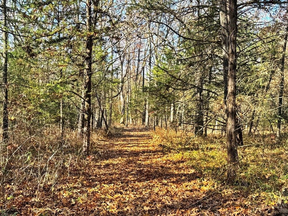 0 Southeast 871 Road Collins, MO 64738 - Photo 18 of 35