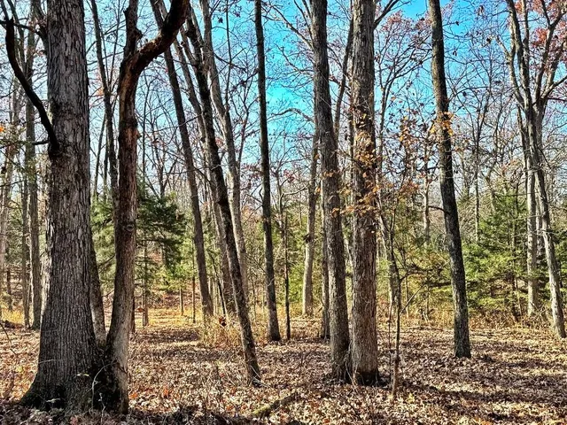 $149,000 | 0 Southeast 871 Road, Collins, MO 64738