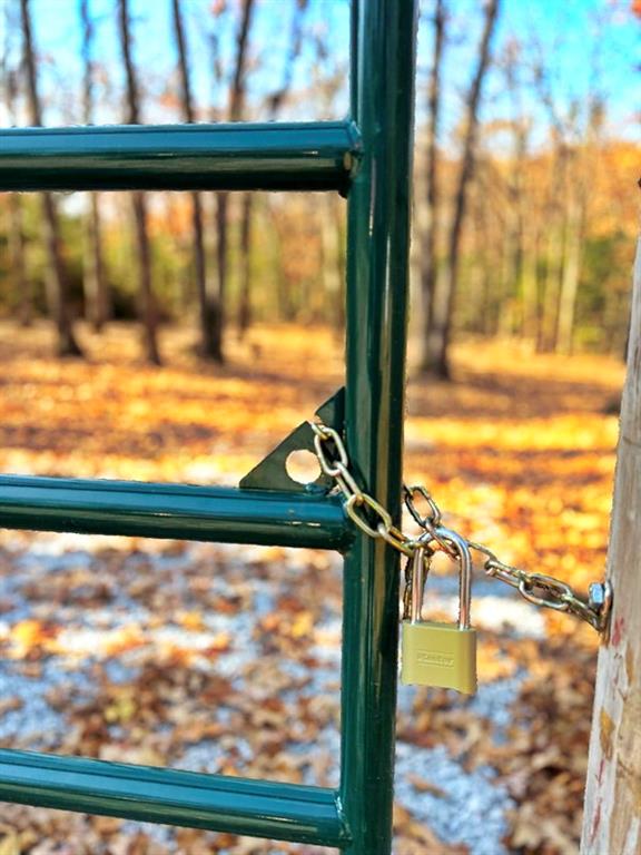 0 Southeast 871 Road Collins, MO 64738 - Photo 2 of 35