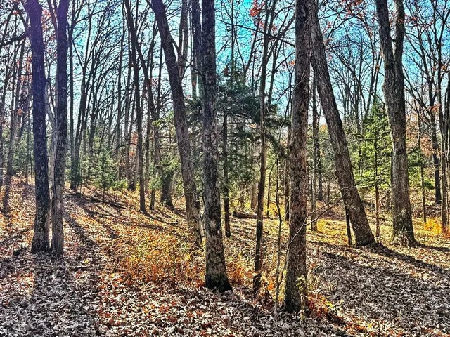 $149,000 | 0 Southeast 871 Road, Collins, MO 64738