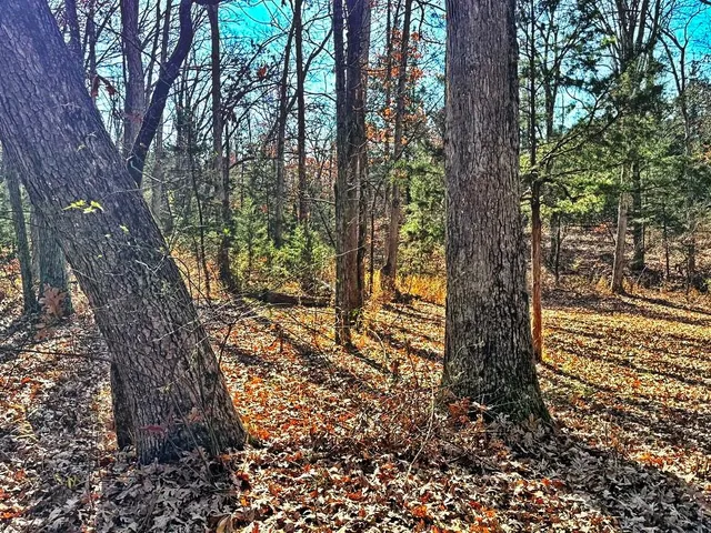 $149,000 | 0 Southeast 871 Road, Collins, MO 64738