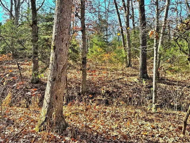 $149,000 | 0 Southeast 871 Road, Collins, MO 64738