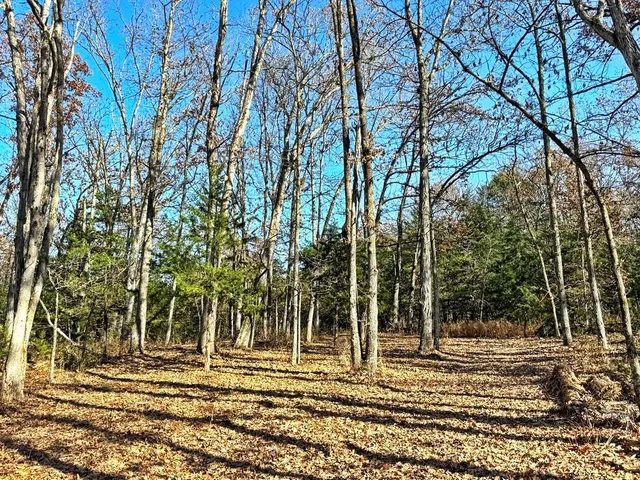 $149,000 | 0 Southeast 871 Road, Collins, MO 64738