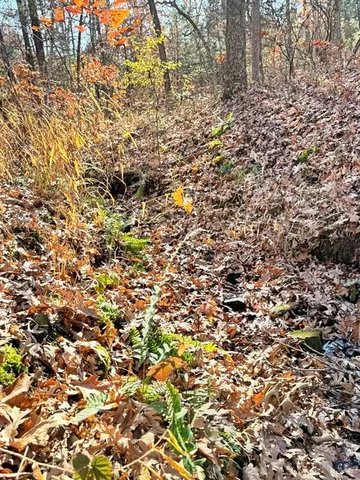 $149,000 | 0 Southeast 871 Road, Collins, MO 64738