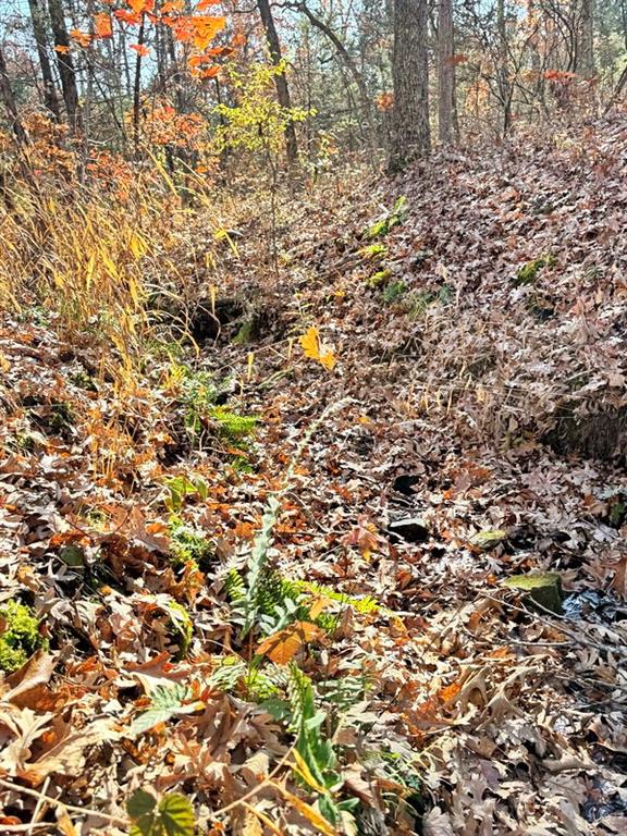 0 Southeast 871 Road Collins, MO 64738 - Photo 26 of 35