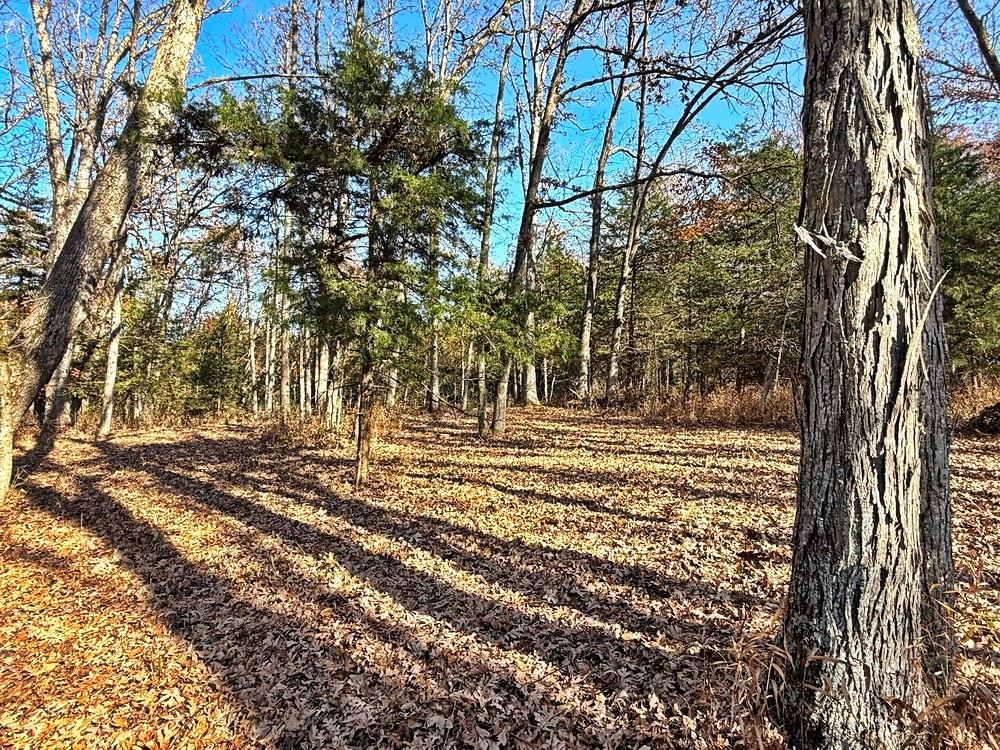 0 Southeast 871 Road Collins, MO 64738 - Photo 27 of 35