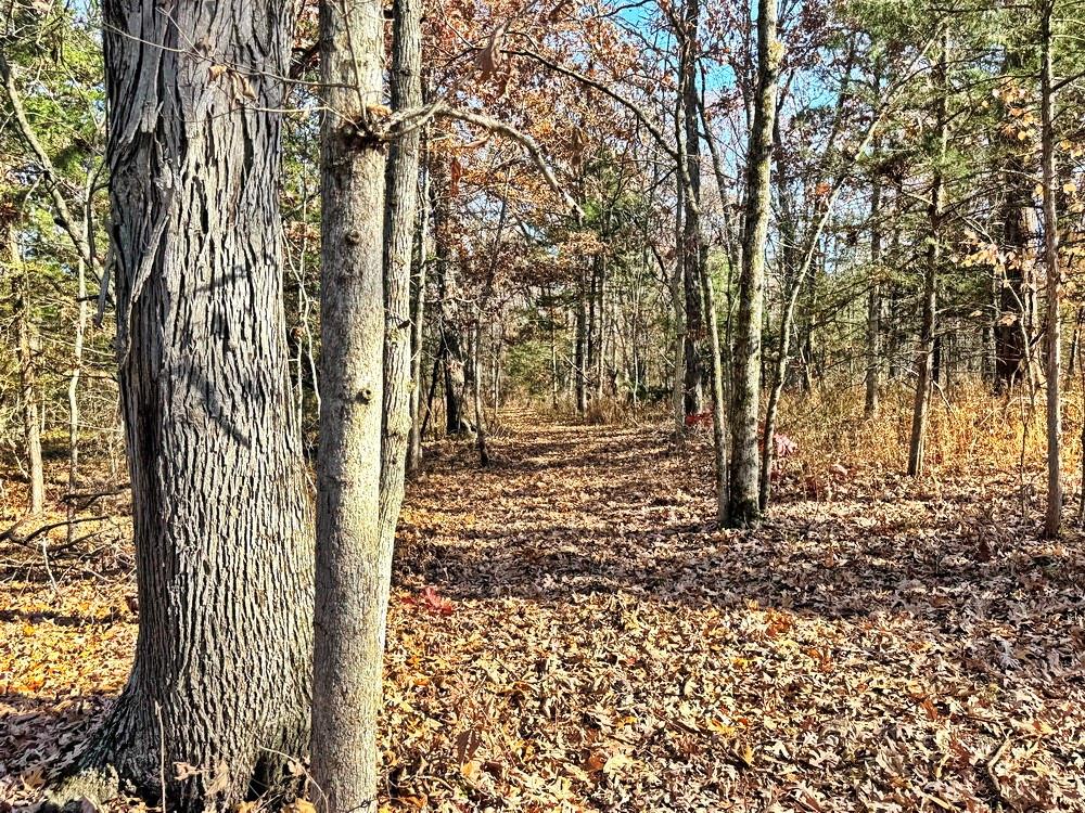 0 Southeast 871 Road Collins, MO 64738 - Photo 28 of 35