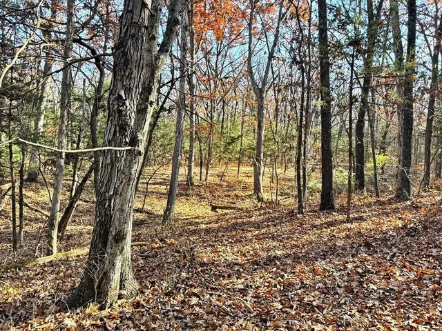 $149,000 | 0 Southeast 871 Road, Collins, MO 64738