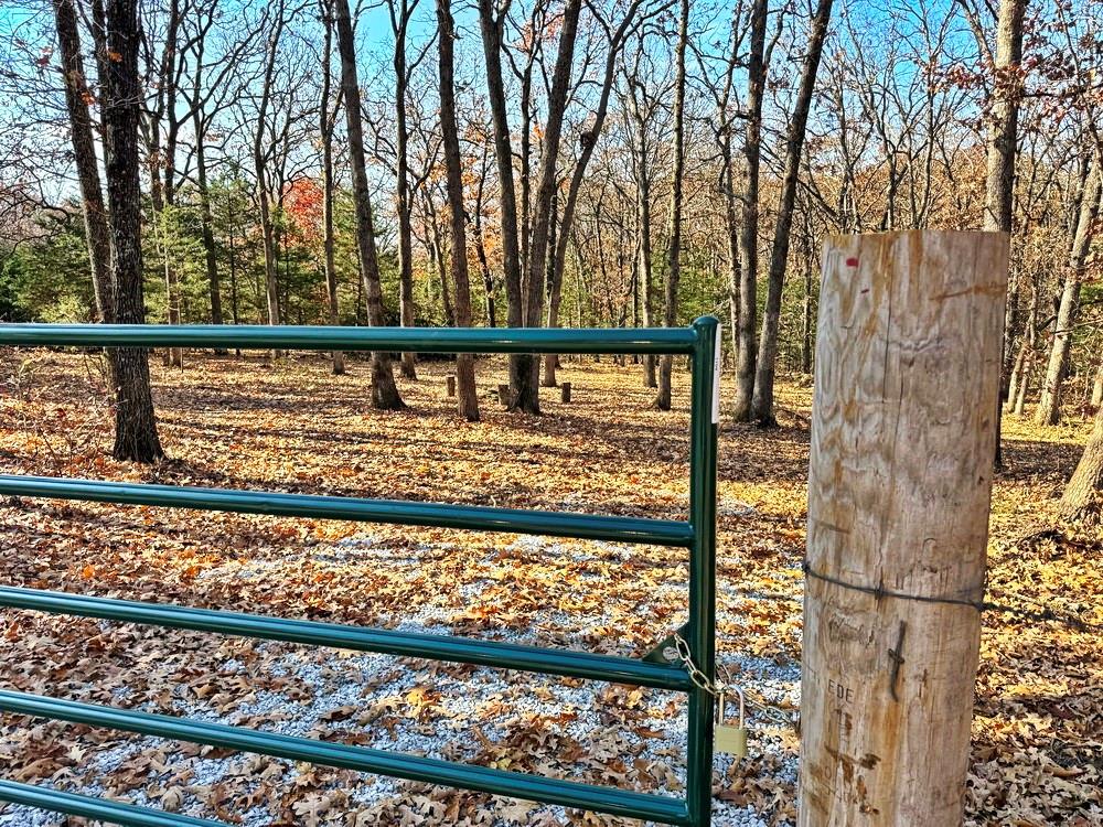 0 Southeast 871 Road Collins, MO 64738 - Photo 3 of 35