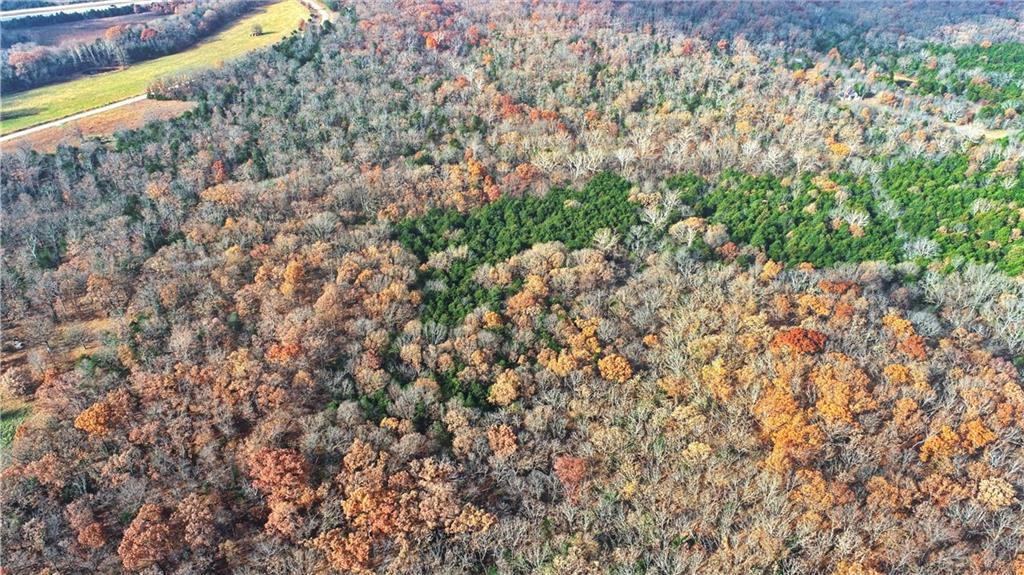 0 Southeast 871 Road Collins, MO 64738 - Photo 34 of 35