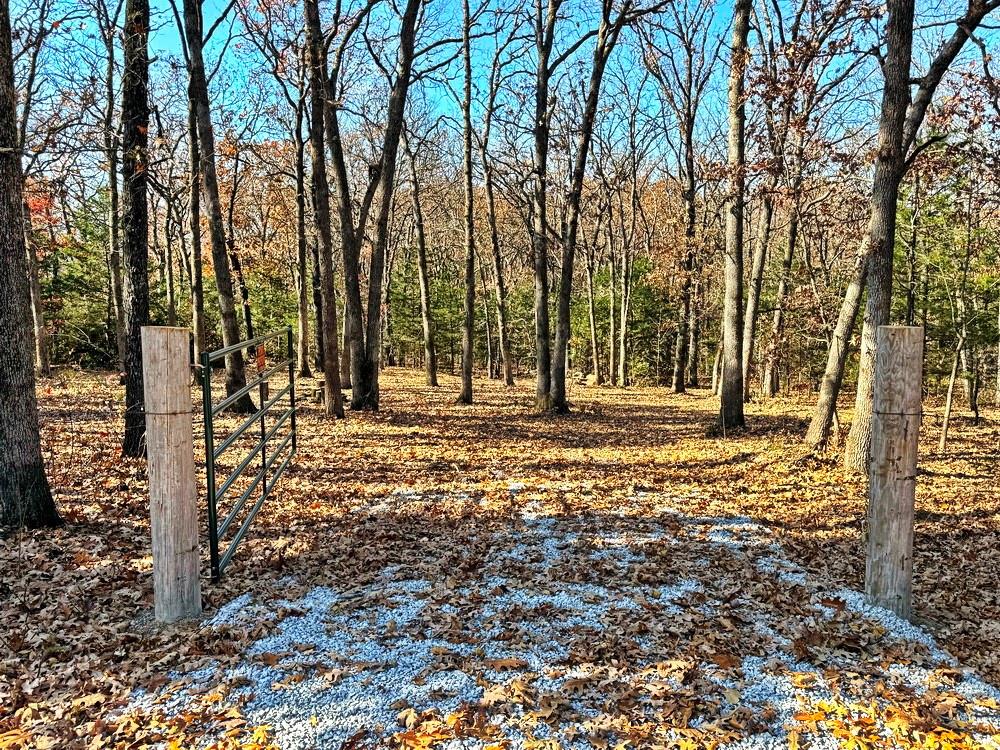 0 Southeast 871 Road Collins, MO 64738 - Photo 4 of 35