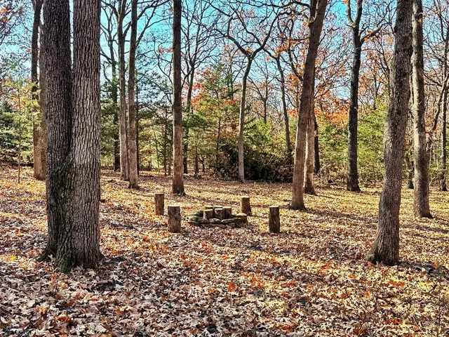 $149,000 | 0 Southeast 871 Road, Collins, MO 64738