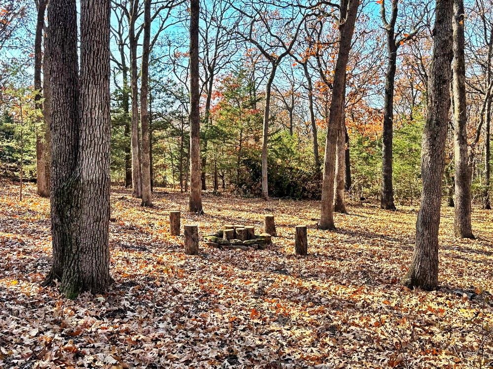 0 Southeast 871 Road Collins, MO 64738 - Photo 5 of 35