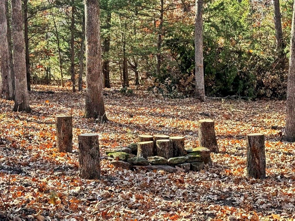 0 Southeast 871 Road Collins, MO 64738 - Photo 6 of 35