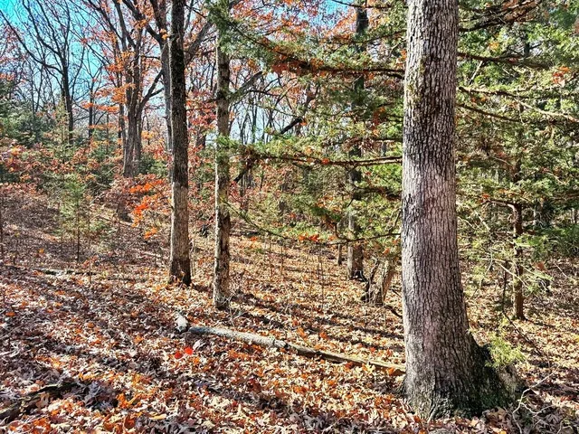 $149,000 | 0 Southeast 871 Road, Collins, MO 64738