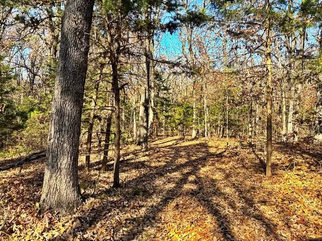 $149,000 | 0 Southeast 871 Road, Collins, MO 64738