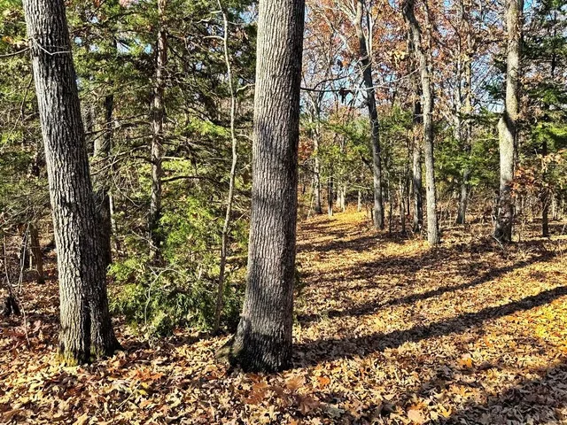 $149,000 | 0 Southeast 871 Road, Collins, MO 64738