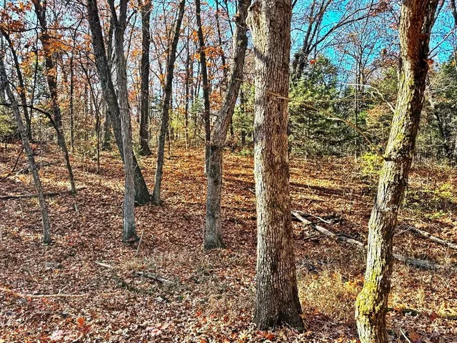 $149,000 | 0 Southeast 871 Road, Collins, MO 64738