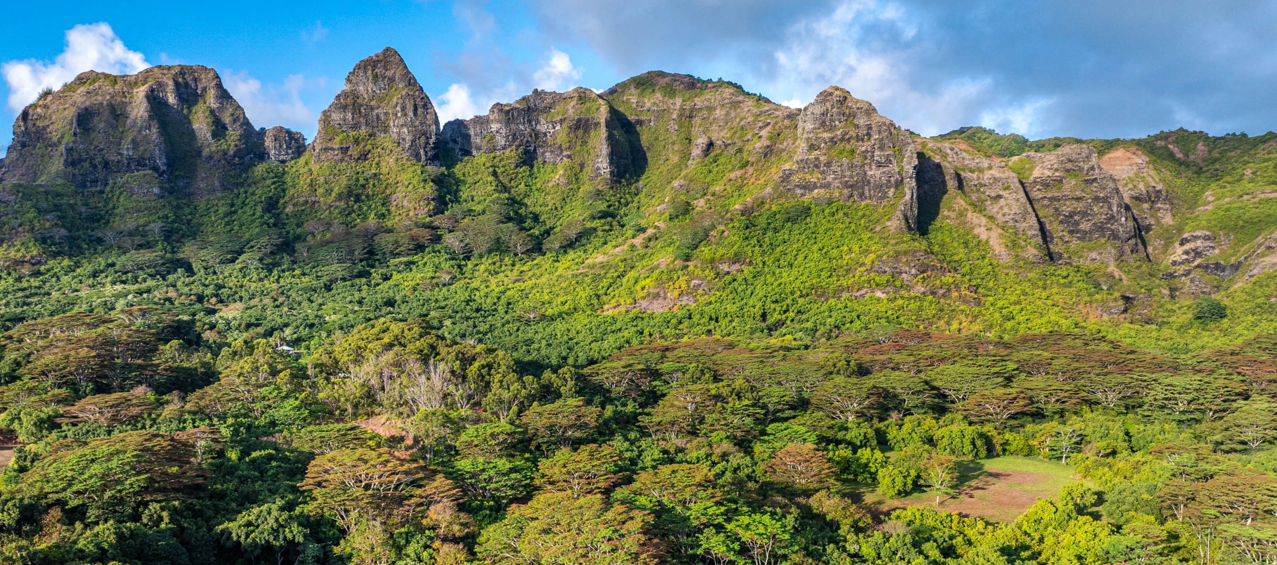6020 Koolau Road, Unit 85 Kilauea, HI 96754 - Photo 1 of 1 a view of a large yard