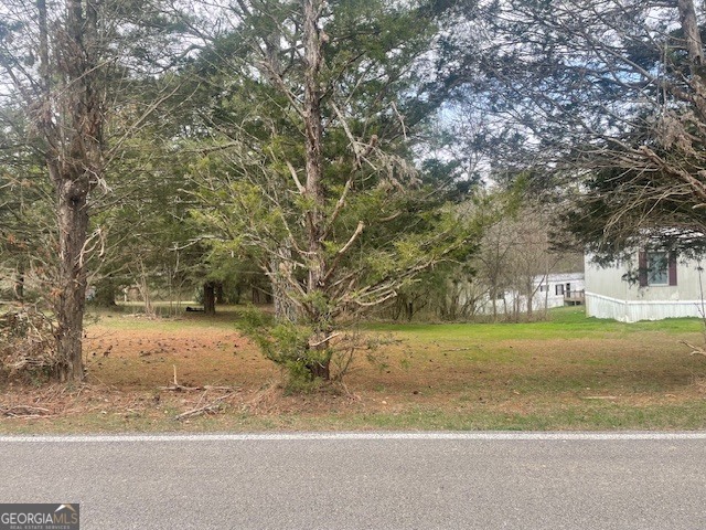 0 Webb Wheeler Road LaFayette, GA 30728 - Photo 2 of 5 a view of a yard with a large tree