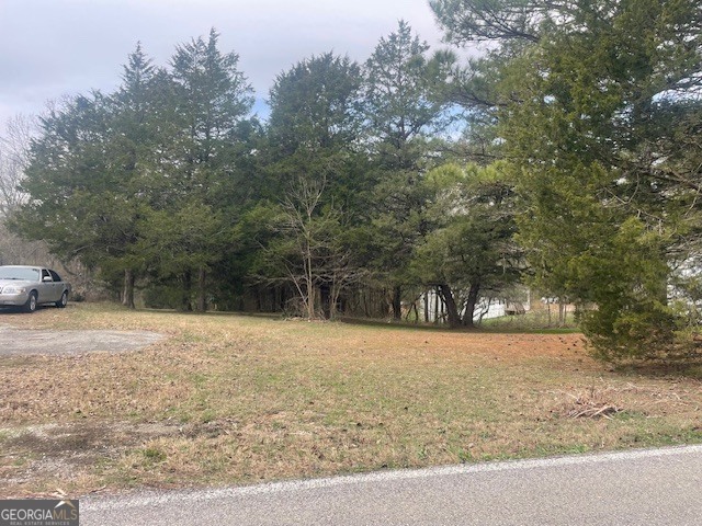 0 Webb Wheeler Road LaFayette, GA 30728 - Photo 4 of 5 a backyard of a house with lots of green space