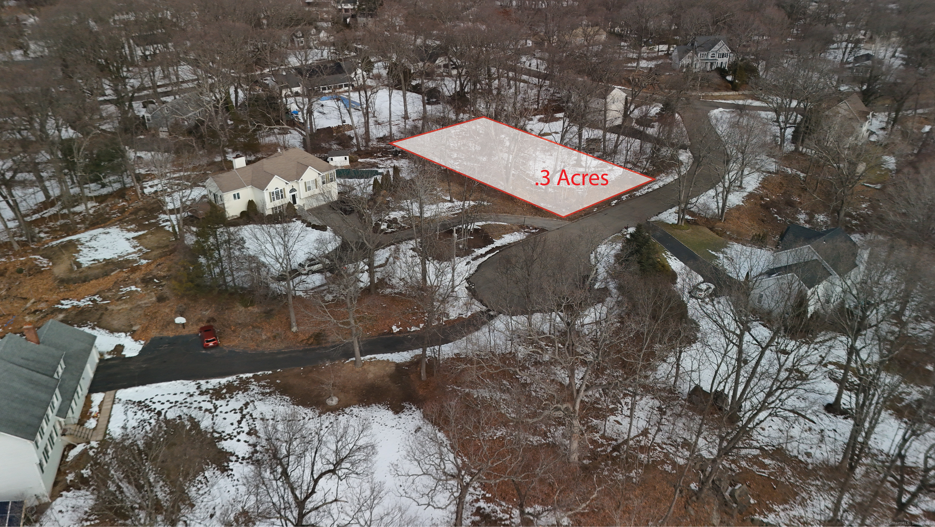 a view of a tree in a yard