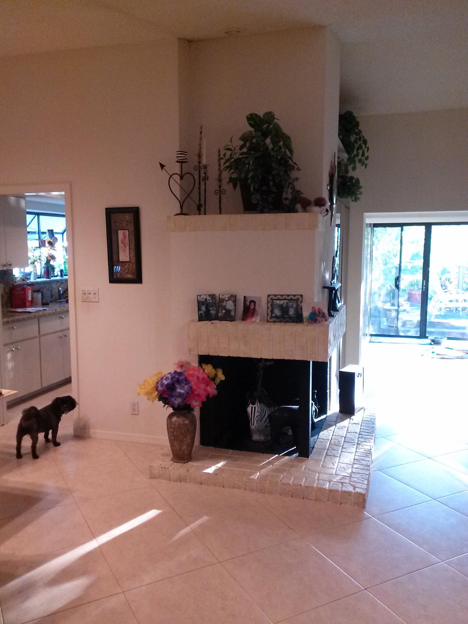 6810 Allegre Court Boca Raton, FL 33433 - Photo 4 of 9 fireplaceCAM00096