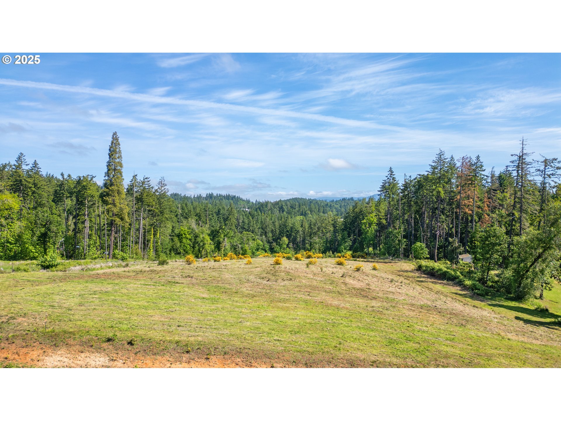 Spring Boulevard Eugene, OR 97405 - Photo 3 of 29