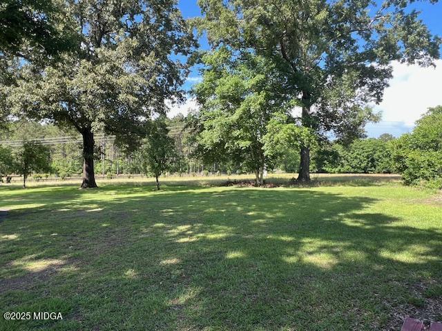 160 Evergreen Road Dublin, GA 31021 - Photo 30 of 37 Yard