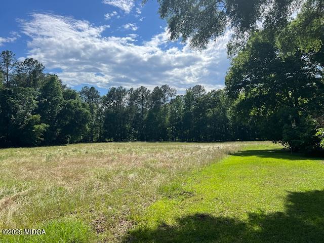 160 Evergreen Road Dublin, GA 31021 - Photo 32 of 37 Yard