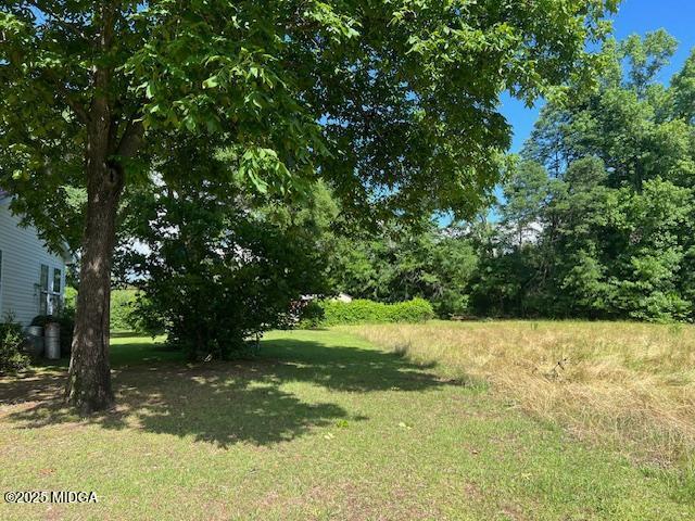 160 Evergreen Road Dublin, GA 31021 - Photo 34 of 37 Yard