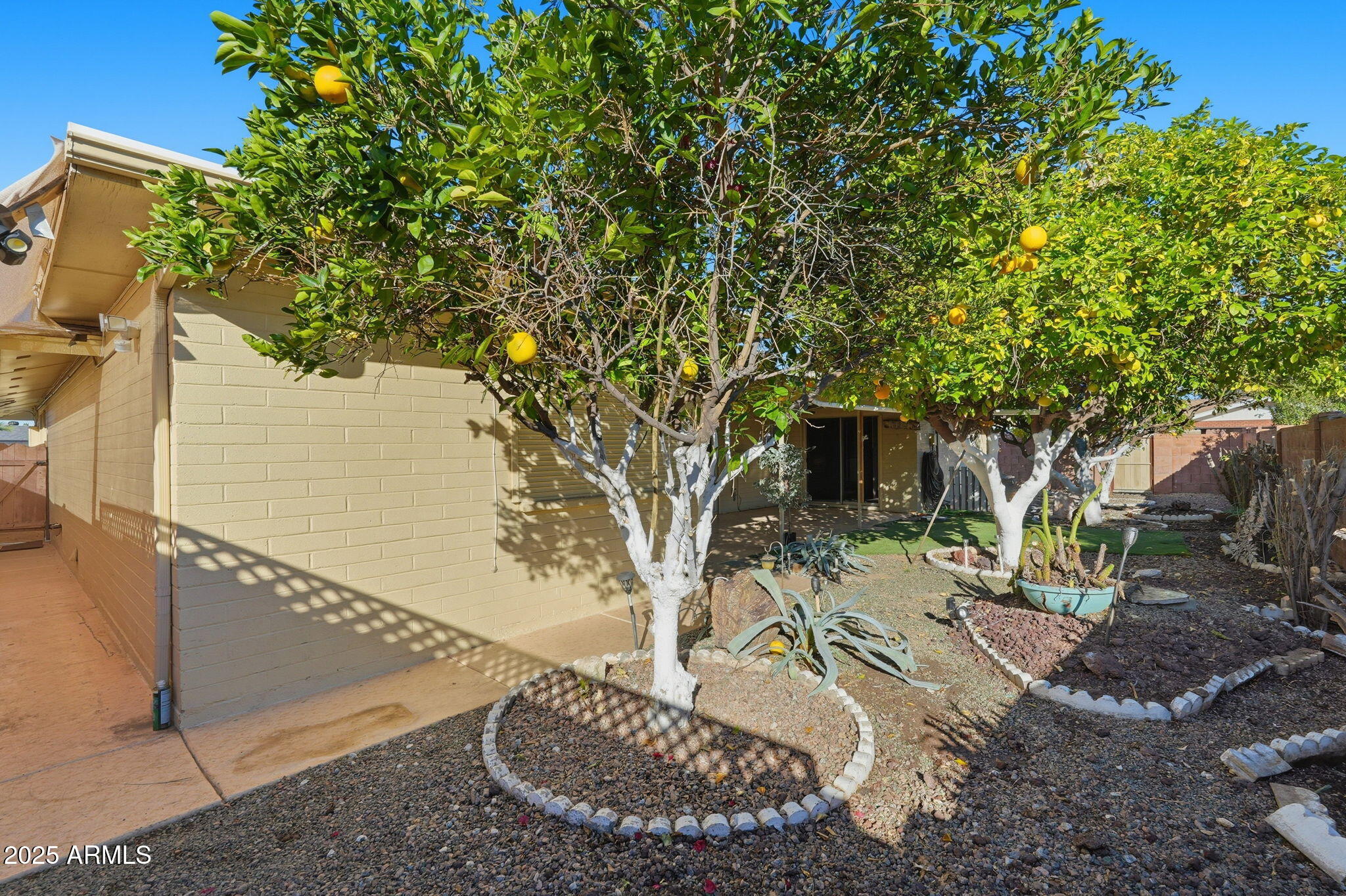 423 South Racine Mesa, AZ 85206 - Photo 35 of 35 Racine - backyard.4