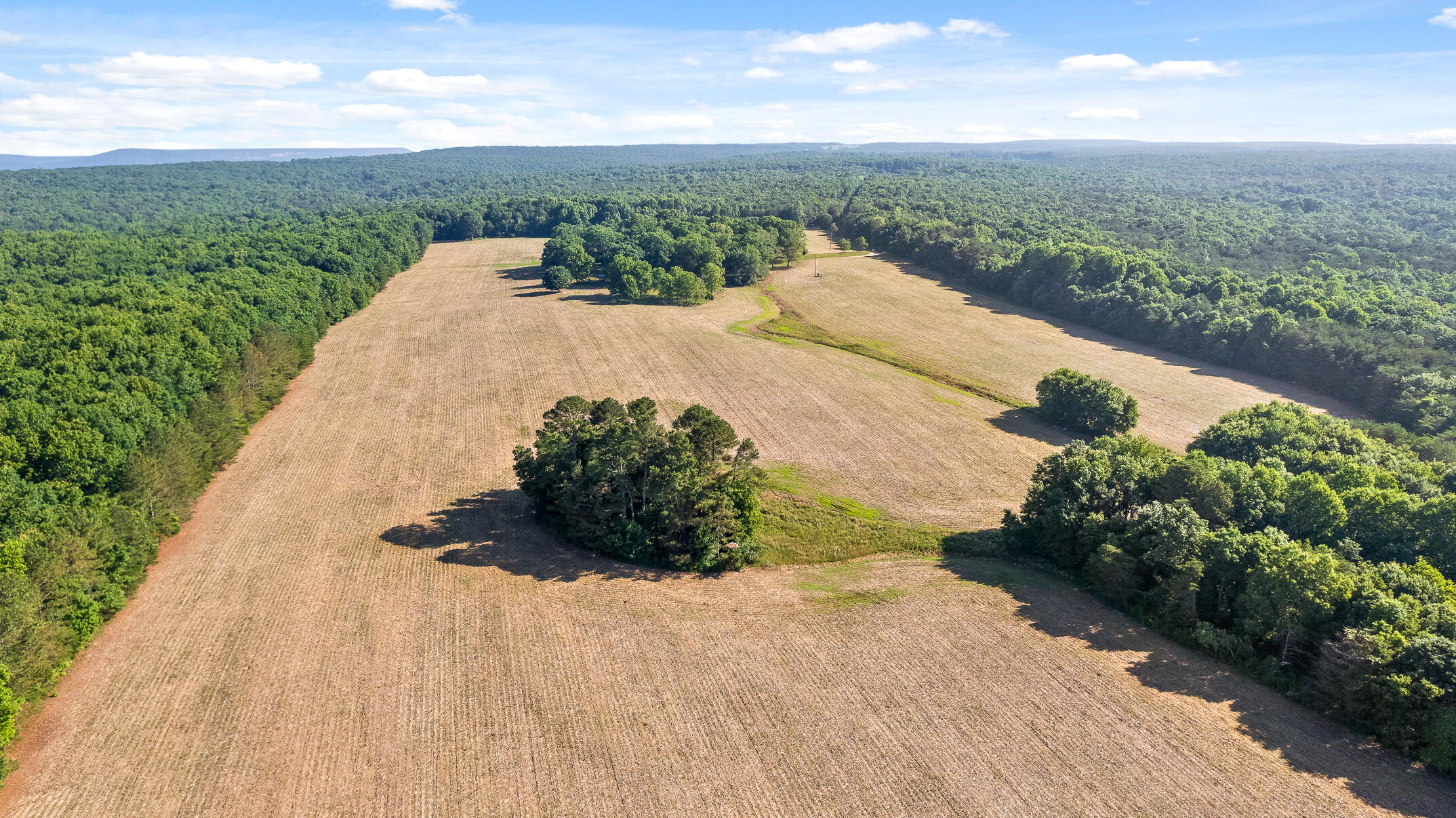 1234 Long Branch Road Menlo, GA 30731 - Photo 1 of 41 Aerial View