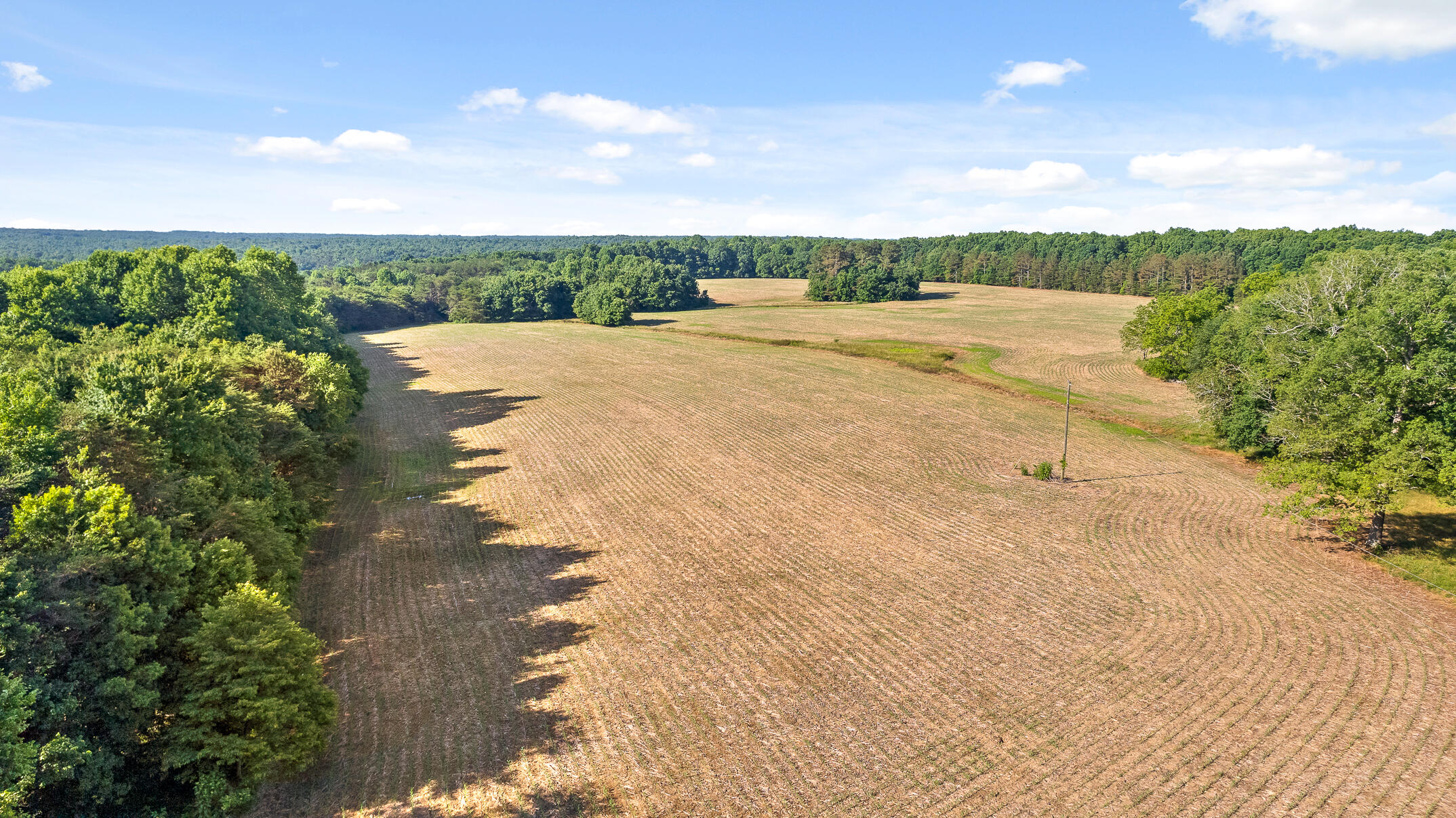 1234 Long Branch Road Menlo, GA 30731 - Photo 12 of 41 Acreage