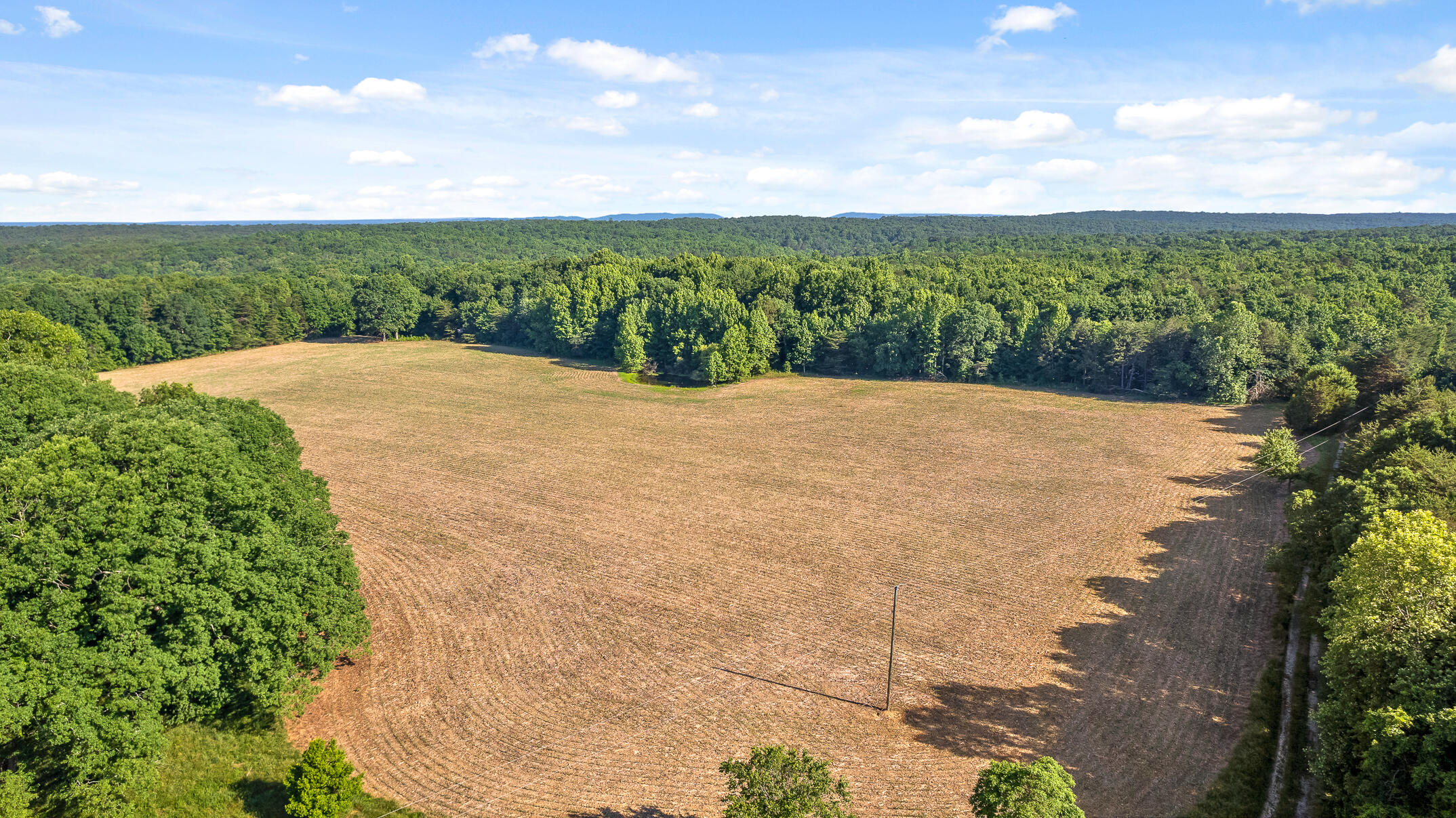 1234 Long Branch Road Menlo, GA 30731 - Photo 13 of 41 Acreage