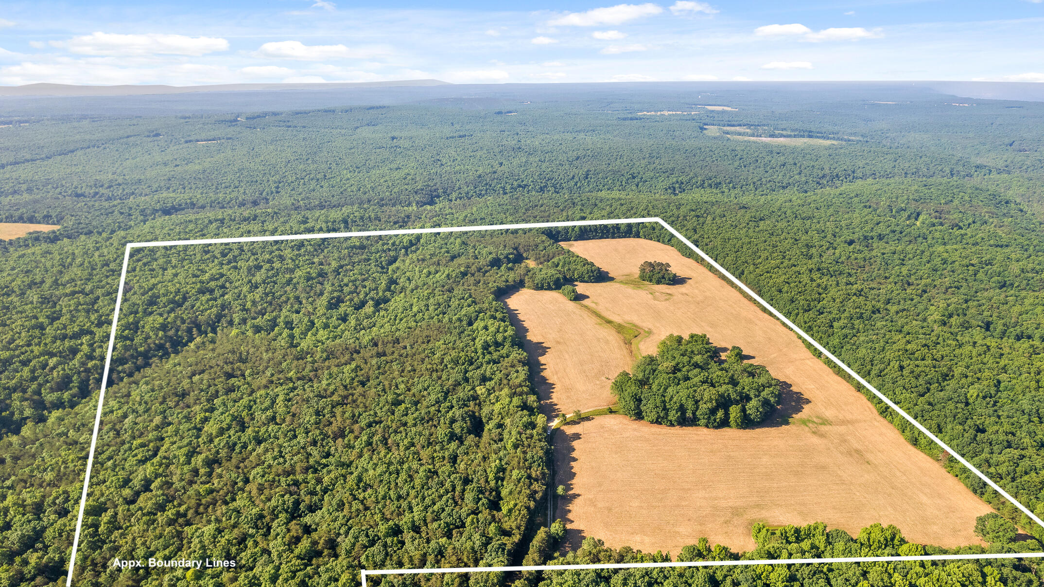 1234 Long Branch Road Menlo, GA 30731 - Photo 14 of 41 Approx Boundary Lines