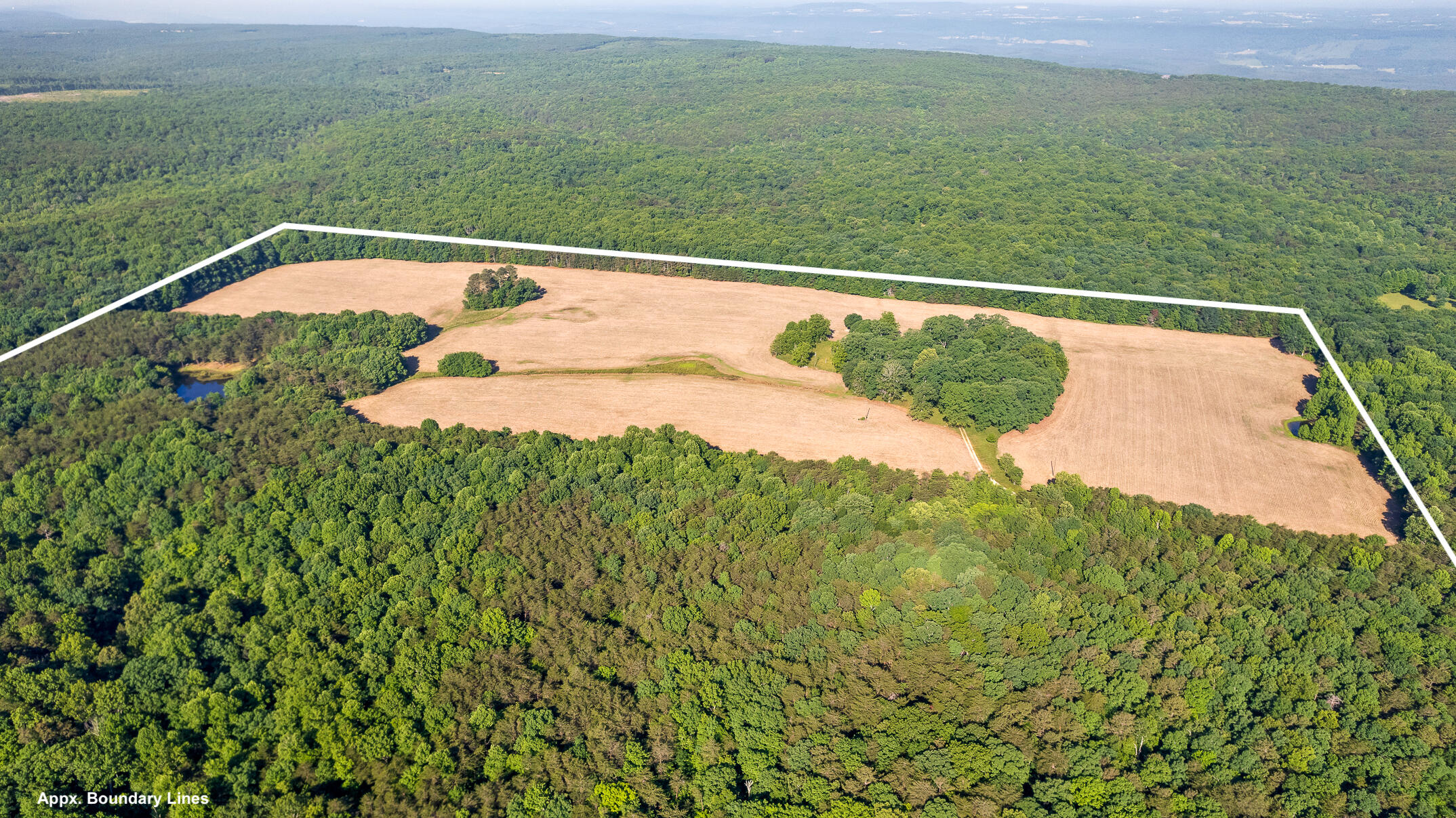1234 Long Branch Road Menlo, GA 30731 - Photo 16 of 41 Approx Boundary Lines
