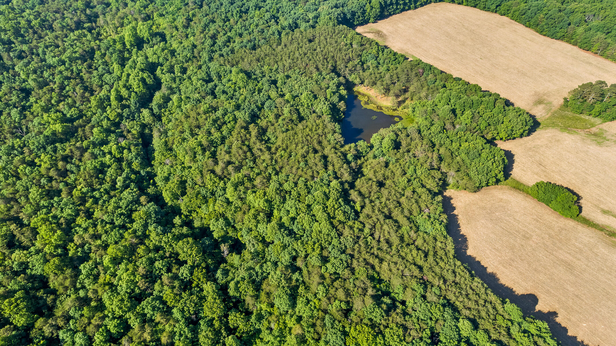 1234 Long Branch Road Menlo, GA 30731 - Photo 17 of 41 Aerial View