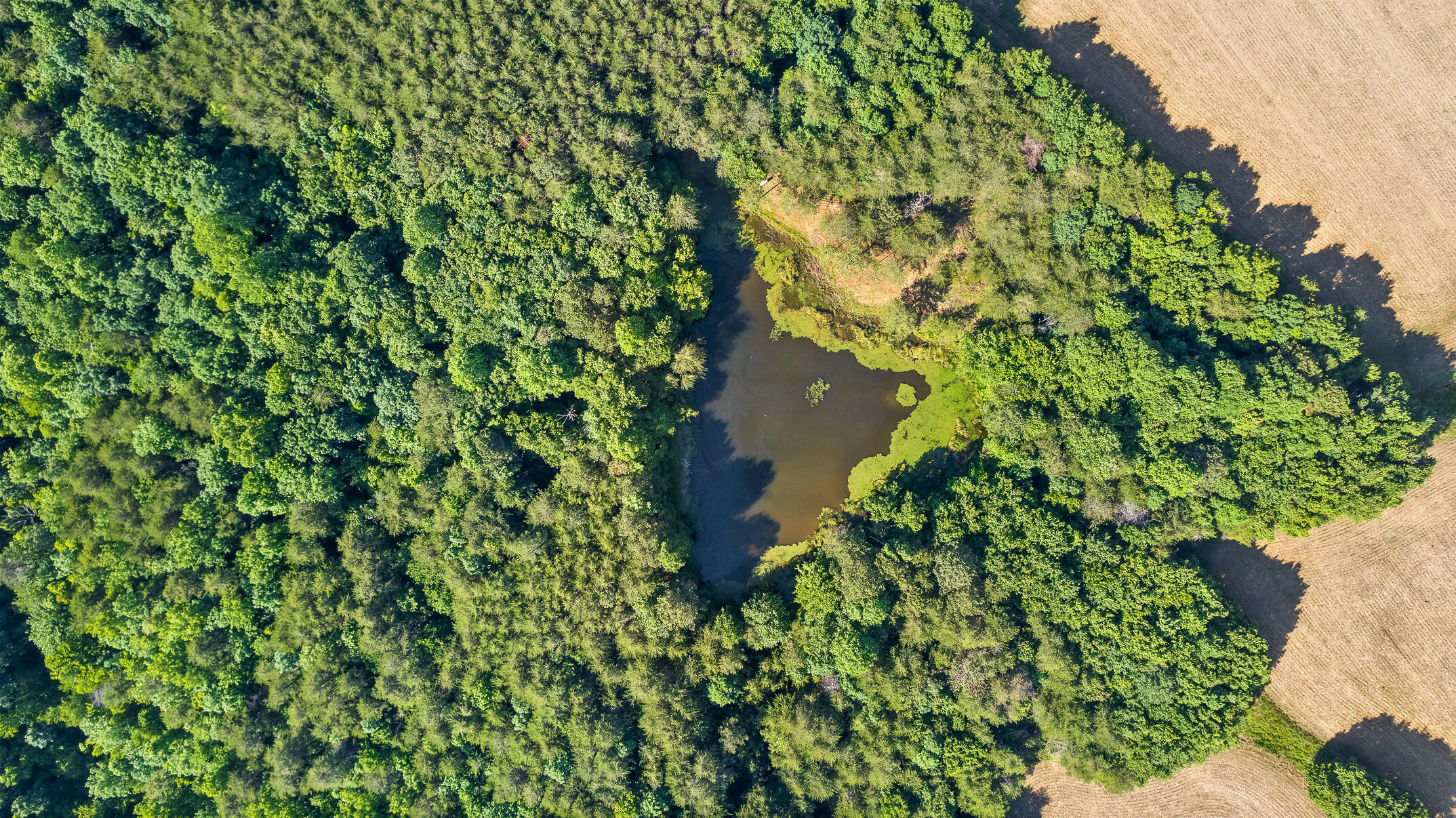 1234 Long Branch Road Menlo, GA 30731 - Photo 18 of 41 Aerial View